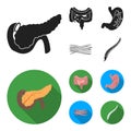 Intestines, stomach, muscles, spine. Organs set collection icons in black, flat style vector symbol stock illustration