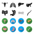 Intestines, stomach, muscles, spine. Organs set collection icons in black,flet style vector symbol stock illustration