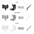 Intestines, stomach, muscles, spine. Organs set collection icons in black,monochrome,outline style vector symbol stock