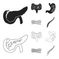 Intestines, stomach, muscles, spine. Organs set collection icons in black,outline style vector symbol stock illustration