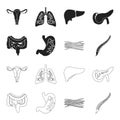 Intestines, stomach, muscles, spine. Organs set collection icons in black,outline style vector symbol stock illustration