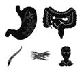 Intestines, stomach, muscles, spine. Organs set collection icons in black style vector symbol stock illustration web.