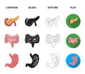 Intestines, stomach, muscles, spine. Organs set collection icons in cartoon,black,outline,flat style vector symbol stock