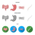 Intestines, stomach, muscles, spine. Organs set collection icons in cartoon,flat,monochrome style vector symbol stock