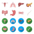 Intestines, stomach, muscles, spine. Organs set collection icons in cartoon,flat style vector symbol stock illustration