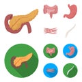 Intestines, stomach, muscles, spine. Organs set collection icons in cartoon,flat style vector symbol stock illustration