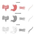 Intestines, stomach, muscles, spine. Organs set collection icons in cartoon,outline,monochrome style vector symbol stock