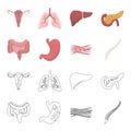 Intestines, stomach, muscles, spine. Organs set collection icons in cartoon,outline style vector symbol stock