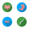 Intestines, stomach, muscles, spine. Organs set collection icons in flat style vector symbol stock illustration web.