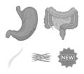 Intestines, stomach, muscles, spine. Organs set collection icons in monochrome style vector symbol stock illustration