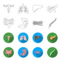 Intestines, stomach, muscles, spine. Organs set collection icons in outline,flat style vector symbol stock illustration