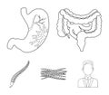 Intestines, stomach, muscles, spine. Organs set collection icons in outline style vector symbol stock illustration web.