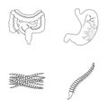 Intestines, stomach, muscles, spine. Organs set collection icons in outline style vector symbol stock illustration web.