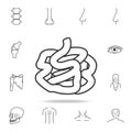 Intestines symbol or icon. Detailed set of human body part icons. Premium quality graphic design. One of the collection icons for