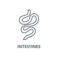 Intestines vector line icon, linear concept, outline sign, symbol