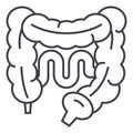 Intestines vector line icon, sign, illustration on background, editable strokes