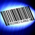 Intestines (large intestine and small intestine) - barcode with futuristic blue background Royalty Free Stock Photo
