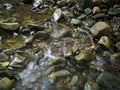 Intimate landscape detail of shallow mountain creek in forest, wet stones in river bed and abstract clear moving water, beautiful Royalty Free Stock Photo