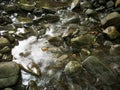 Intimate landscape detail of shallow mountain creek in forest, wet stones in river bed and abstract clear moving water, beautiful Royalty Free Stock Photo