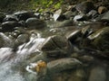 Intimate landscape detail of shallow mountain creek in forest, wet stones in river bed and abstract clear moving water, beautiful Royalty Free Stock Photo