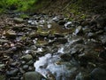 Intimate landscape detail of shallow mountain creek in forest, wet stones in river bed and abstract clear moving water, beautiful Royalty Free Stock Photo