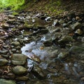 Intimate landscape detail of shallow mountain creek in forest, wet stones in river bed and abstract clear moving water, beautiful Royalty Free Stock Photo