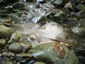 Intimate landscape detail of shallow mountain creek in forest, wet stones in river bed, wet leaf on stone and abstract clear Royalty Free Stock Photo