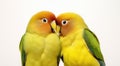 Intimate Moment Between Lovebird Pair in Tender Embrace - by Generative AI
