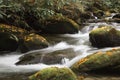 Intimate mountain landscape with water flowing over moss covered rocks with fall leaves, rhododendrons Royalty Free Stock Photo