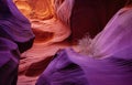 An Intimate Scene at Antelope Canyon tumbleweed