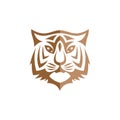 intimidating tiger front view theme logo template Royalty Free Stock Photo