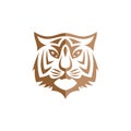 intimidating tiger front view theme logo template