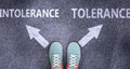 Intolerance and tolerance as different choices in life - pictured as words Intolerance, tolerance on a road to symbolize making