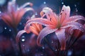 Intoxicating Beauty, Ethereal Floral Macro Photography
