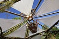 Intriate Fabric Gazebo Roof