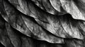 An intricate array of overlapping folds and creases creating intricate patterns and shadows on the leafs surface