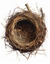 Intricate Bird Nest Made of Twigs and Small Branches on White Background Royalty Free Stock Photo