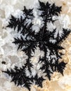 Intricate Black Dendrite Mineral Pattern Royalty Free Stock Photo