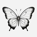 Intricate Black And White Butterfly Design With Minimalistic Symmetry