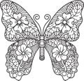 intricate butterfly design. Vector illustration decorative design Royalty Free Stock Photo