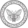 intricate butterfly design. Vector illustration decorative design Royalty Free Stock Photo