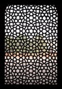 Intricate carving of stone window grill at Humayuns Tomb, Delhi