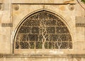 Intricate carvings on the walls of the Sidi Saiyyed mosque in Ahmedabad