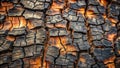 Intricate charred wood texture a detailed close-up of burned timber showing complex cracking patterns. Generative AI Royalty Free Stock Photo