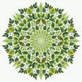 Intricate circular mandala featuring a symmetrical pattern of green leaves, arranged in concentric Royalty Free Stock Photo