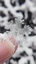 Intricate close up of a unique snowflake crystal showcasing detailed patterns and textures