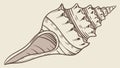 Intricate Conch Sea Shell Illustration, vector design Generative AI Royalty Free Stock Photo