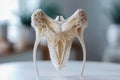 Intricate 3D Printed Bone Structure Model Displayed on Neutral Background for Educational or Medical Use Royalty Free Stock Photo