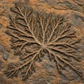 Intricate dendritic pattern on a rock surface resembles leafless branches or coral. The Royalty Free Stock Photo