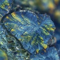 Intricate design resembling crystalline fractals or frost patterns. Features a vibrant